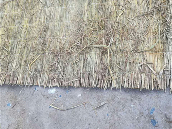 護(hù)坡草簾：為城市增添自然生機(jī)與活力