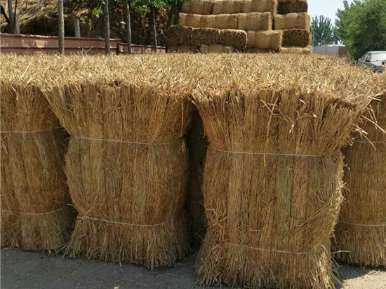 煤礦草苫在礦井火災(zāi)中的應(yīng)用價(jià)值分析