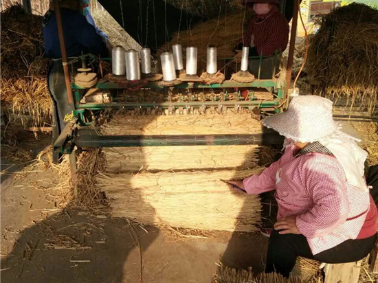 鐵路草苫：做好地方經(jīng)濟轉(zhuǎn)型升級的重要載體！