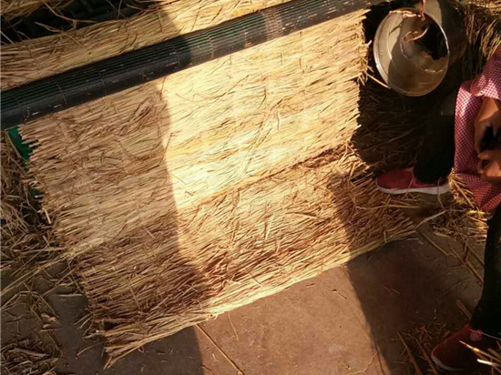 鐵路草苫：做好地方經(jīng)濟轉(zhuǎn)型升級的重要載體！