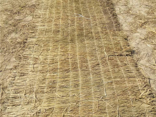 如何選擇合適的草苫規(guī)格？專家指導(dǎo)幫您輕松選購