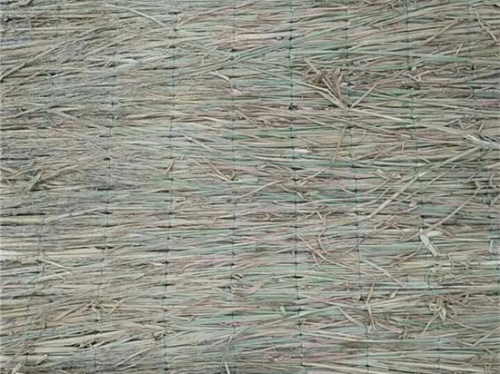 草苫種植與采集的合理規(guī)劃與管理！