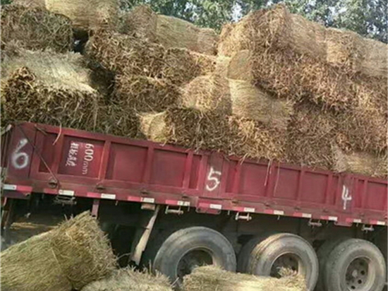 如何判斷草簾廠的專業(yè)程度？