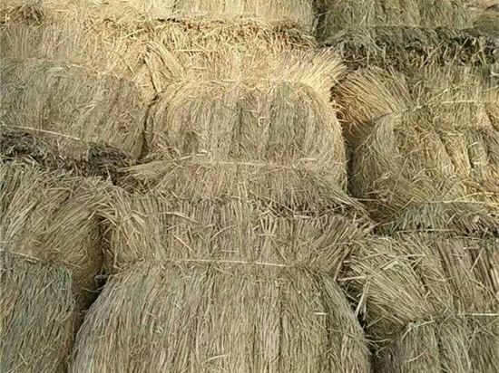 煤礦草簾：構(gòu)建和諧共贏的礦業(yè)發(fā)展新模式