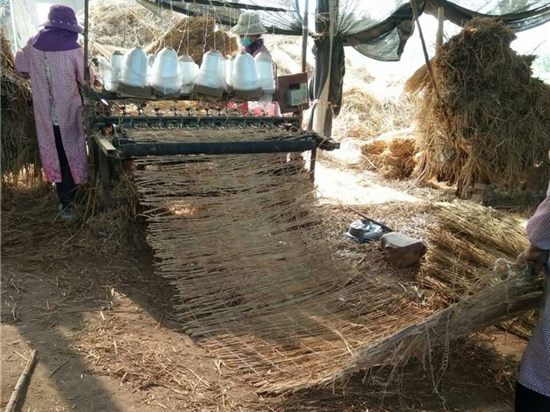 鋪路草苫：增強(qiáng)道路承載力、延長使用壽命的創(chuàng)新材料