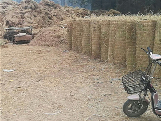 挑選草苫廠：關(guān)鍵因素及風(fēng)險控制策略