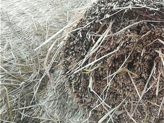 煤礦草苫：改善礦井排瓦斯效果的利器研究