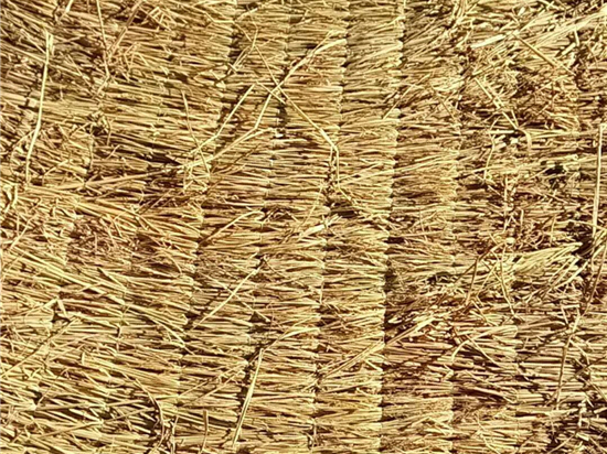 草簾廠家解讀：鐵路裝載規(guī)范