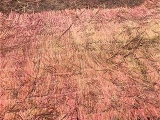 鋼廠草簾的可塑性與個性化設(shè)計(jì)