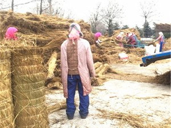 選擇草苫規(guī)格的關(guān)鍵因素解析：從尺寸到顏色，全面考慮