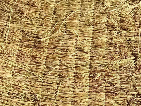 選擇草苫規(guī)格的關(guān)鍵因素解析：從尺寸到顏色，全面考慮