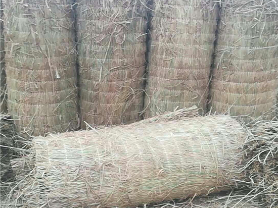 煤礦草苫：改善礦井排瓦斯效果的利器研究