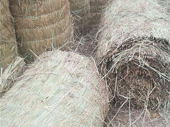 如何判斷草簾廠的生產(chǎn)能力？