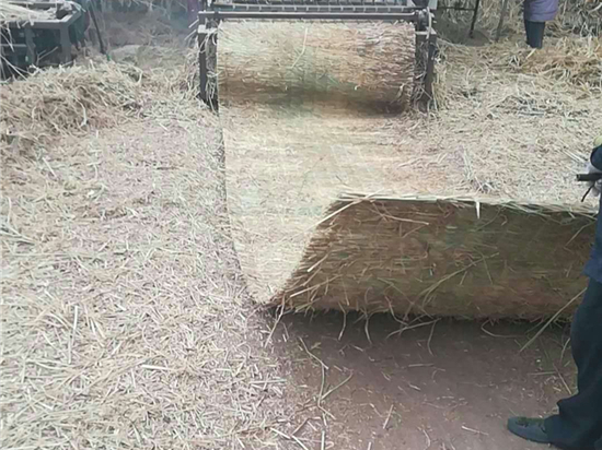 綠化草苫的養(yǎng)護(hù)方法詳解(綠化基本養(yǎng)護(hù)方法)