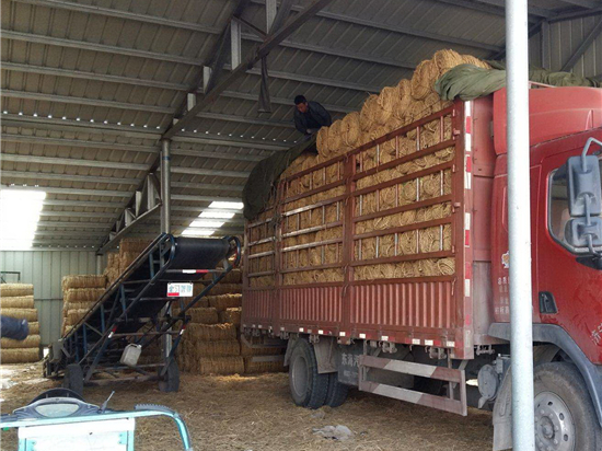 內(nèi)蒙防風治沙草繩在生態(tài)修復中的應(yīng)用