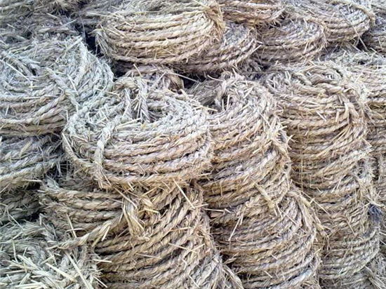 園林綠化草繩品質(zhì)與價格詳解