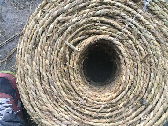 草繩在園林綠化中的應(yīng)用與適應(yīng)性