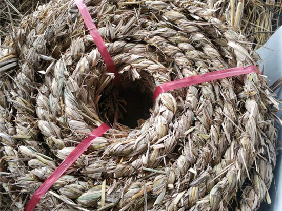 草繩在設備包裝中的發(fā)展趨勢