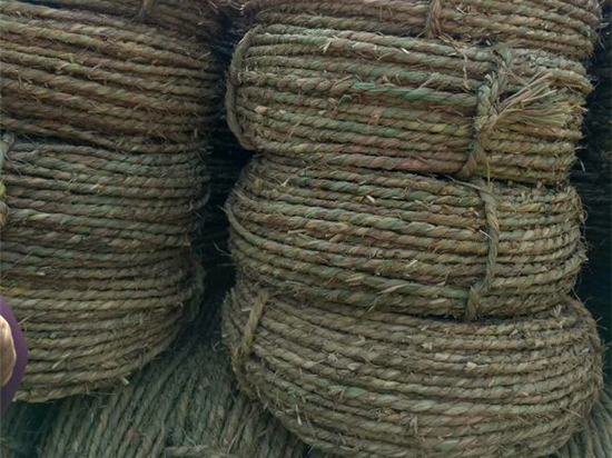 內(nèi)蒙防風(fēng)治沙草繩廠家：技術(shù)與服務(wù)并重的選擇