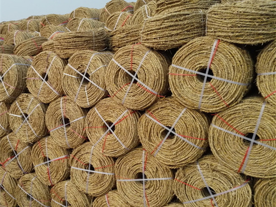 園林綠化保濕保溫草繩的選購與施工指南