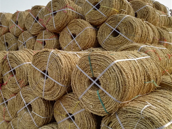 見證偉大時代，草繩治沙是必不可少的