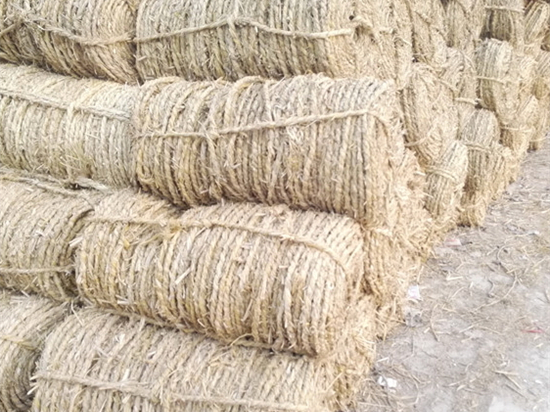 內(nèi)蒙防風(fēng)治沙草繩廠家的發(fā)展趨勢(shì)