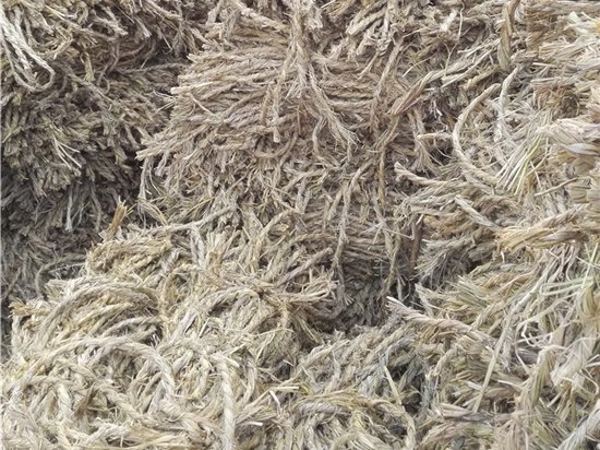 草繩在園林綠化中的普及與應(yīng)用