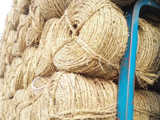 草繩在園林綠化中的功能與優(yōu)勢(shì)