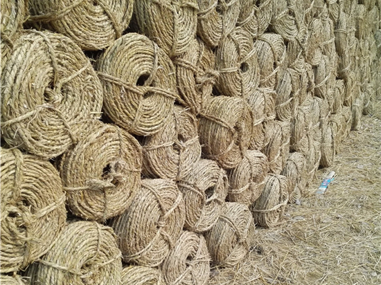 草繩在園林綠化中的作用與價(jià)值