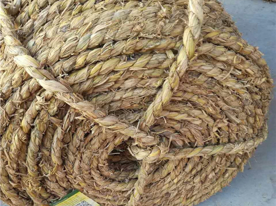 園林綠化保濕保溫草繩選購指南