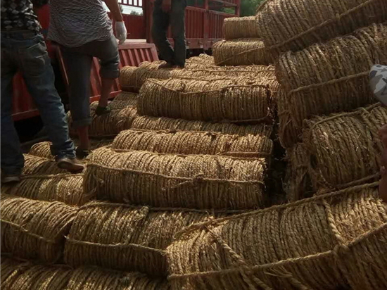 內(nèi)蒙防風(fēng)治沙草繩技術(shù)創(chuàng)新探討