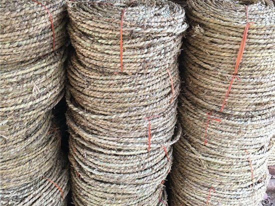 草繩在園林綠化中的發(fā)展趨勢(shì)