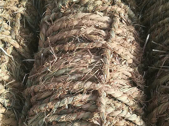 草繩治沙，構(gòu)建起現(xiàn)代化生態(tài)文明體系的基石