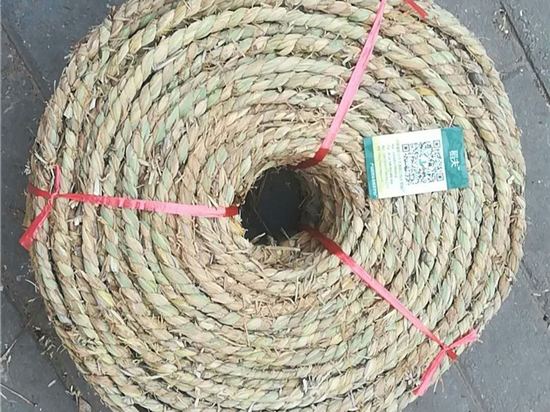 內(nèi)蒙防風(fēng)治沙草繩技術(shù)創(chuàng)新探討