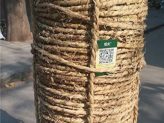 防滑管樁草繩在設(shè)備包裝中的作用與價(jià)值