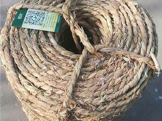 防滑管樁草繩在設備包裝中的環(huán)保與經濟性分析