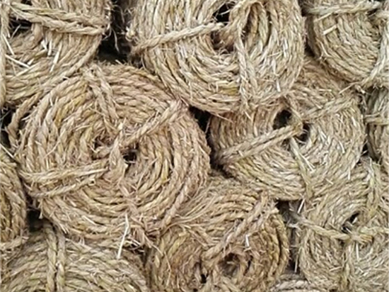 內(nèi)蒙防風(fēng)治沙草繩市場前景與趨勢