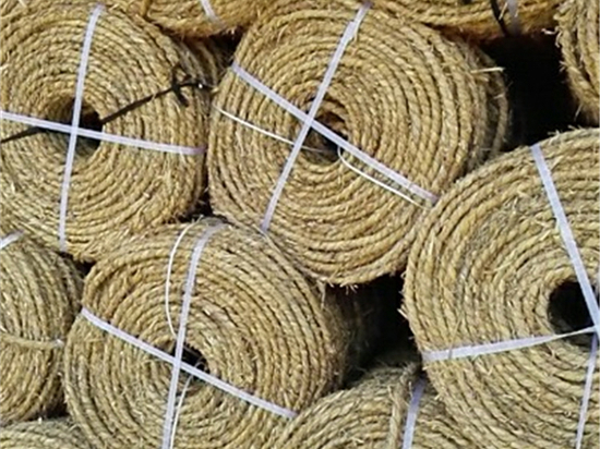 內(nèi)蒙防風(fēng)治沙草繩技術(shù)創(chuàng)新探討