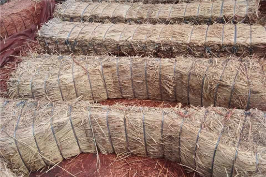 鐵路草支墊與城市綠化建設(shè)的聯(lián)系