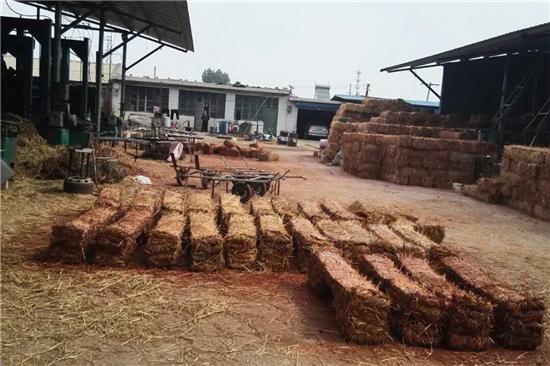 探討護(hù)坡草棒在河道治理中的技術(shù)要點(diǎn)