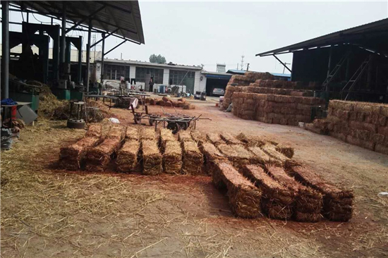 防滑草支墊：貨物運(yùn)輸?shù)牡昧χ? title=