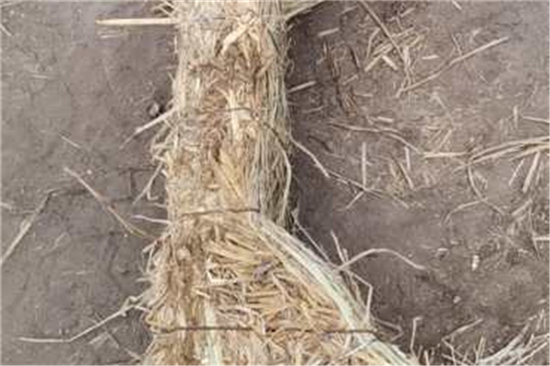 阻燃草支墊：鐵路貨運(yùn)的新一代理想選擇