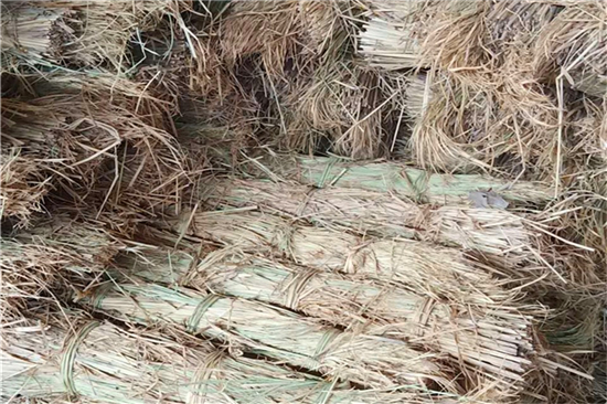 探究防滑草支墊的優(yōu)良性能及應(yīng)用