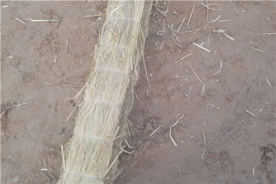 護(hù)坡草棒在高速公路邊坡治理中的應(yīng)用