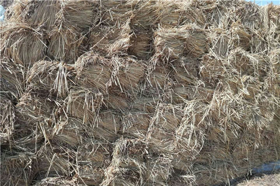 淺析護(hù)坡草棒在邊坡防護(hù)工程中的應(yīng)用