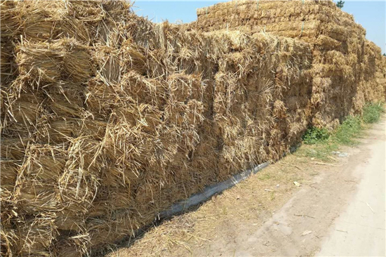 讓環(huán)保理念滲透到每一個細節(jié)，草支墊為您保駕護航