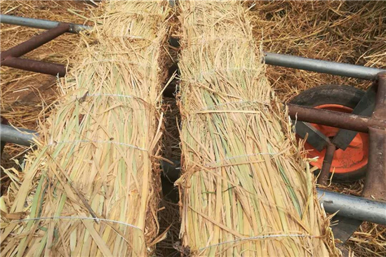 草支墊的選購(gòu)與使用指南 草支墊的選購(gòu)與使用指南