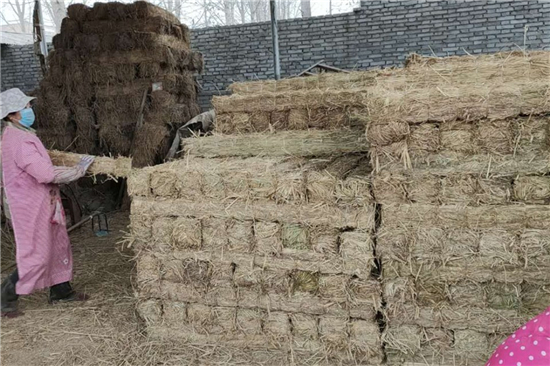 鋼廠草支墊：如何減輕噪音和振動(dòng)？