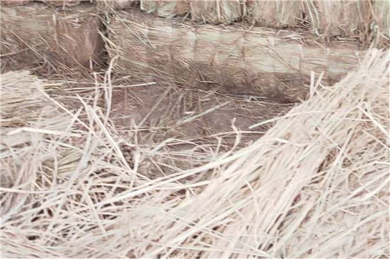 卷鋼草支墊的安裝與維護