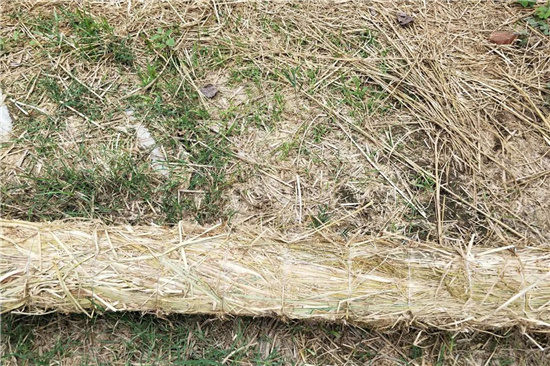 鐵路草支墊在城市河道治理和生態(tài)修復(fù)中的應(yīng)用效果和評估方法探討